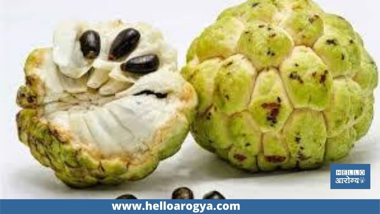 Custard apple seeds have the power to boost the immune system