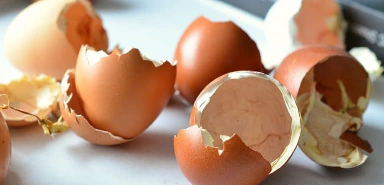 अंड्याच्या टरफलाचे फायदे जाणाल तर आश्चर्यचकित व्हाल; जाणून घ्या