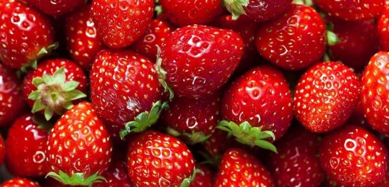 लाल लाल स्ट्रॉबेरीचे आरोग्यास अनेको फायदे; जाणून घ्या