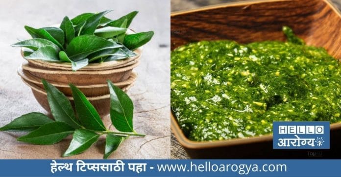 Curry Leaves Hair Mask