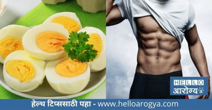 Boiled Egg Benefits For Men