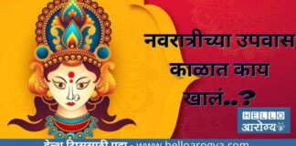 Navratri Fasting Food