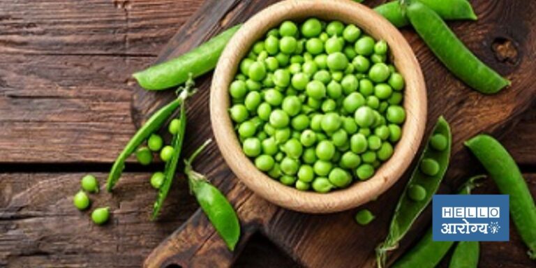 Green Pea Benefits |  हिरव्या वाटाण्यामध्ये असते भरपूर प्रोटीन, जाणून घ्या त्याचे 5 आश्चर्यकारक फायदे